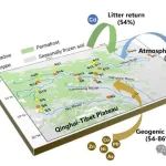 中科院地化所王训课题组ES&T、JHM系列研究：揭示青藏高原关键区域的重金属循环过程