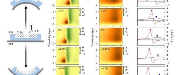 Light Science&Application通过准一维 ZrSe3中各向异性激子动力学实现亚皮秒应变可调偏振选择性光学开关