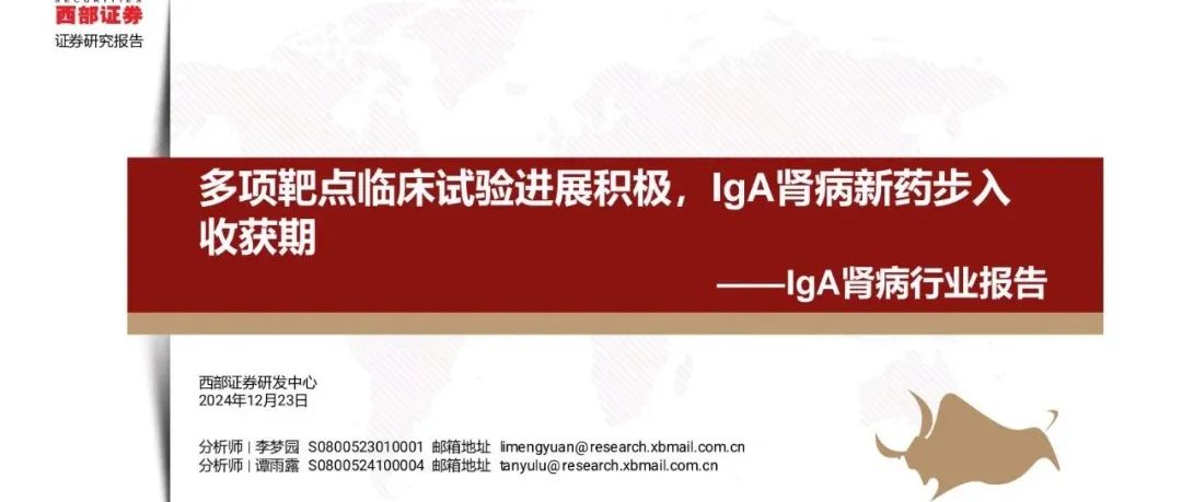 IgA肾病行业: 多项靶点临床试验进展积极, IgA肾病新药步入收获期