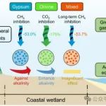 华南植物园揭示矿物添加对滨海湿地温室气体排放及海水碱度的调控作用