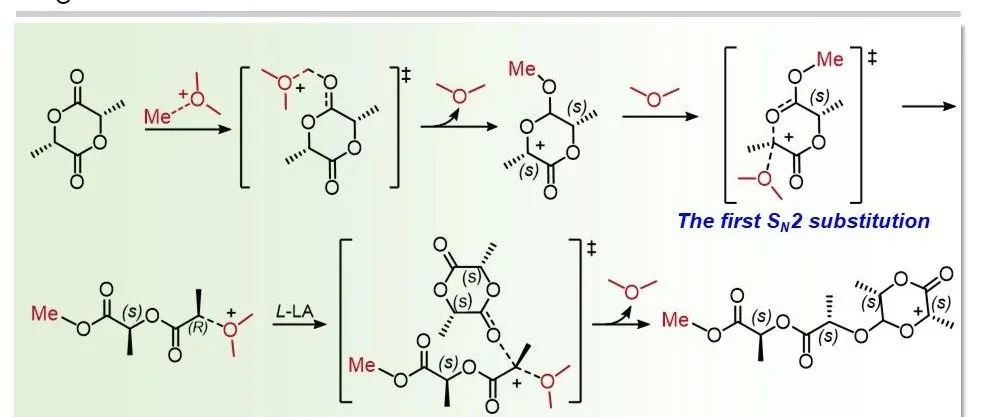 天津大学王彬：有机离子对催化L-丙交酯的可控阳离子开环聚合制备高等规度聚乳酸