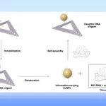 同济大学张祎男课题组 Chin. J. Chem.：对金纳米粒子的定制化信息进行编码，以引导其在DNA折纸结构中的可遗传定位