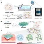 东华大学朱美芳/侯恺 Biomaterials：可调节水蒸发焓的持续多孔水凝胶非织造布用于高渗液伤口的全阶段愈合