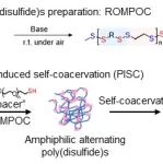 浙江大学周泉/申有青/刘祥瑞 Macromolecules：交替聚二硫化物的可控合成及聚合诱导自凝聚化