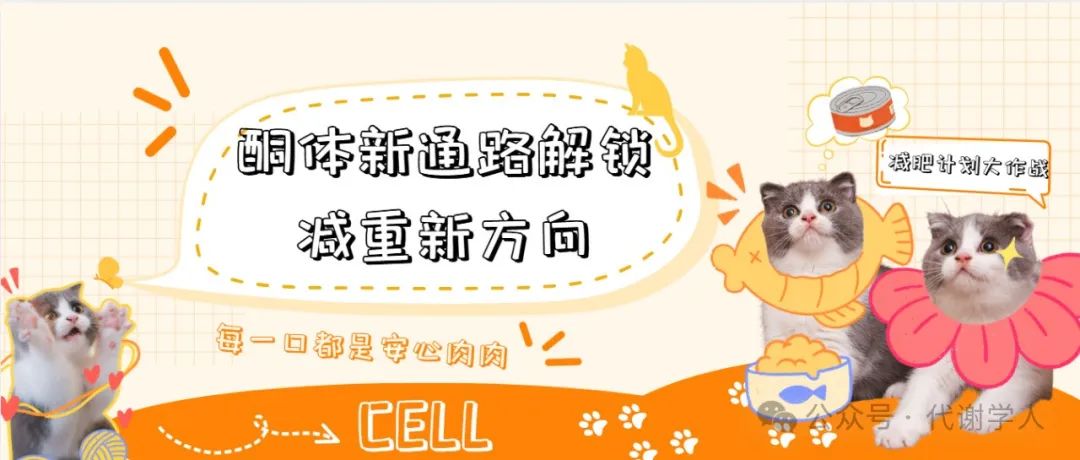 Cell：酮体新通路解锁减重新方向