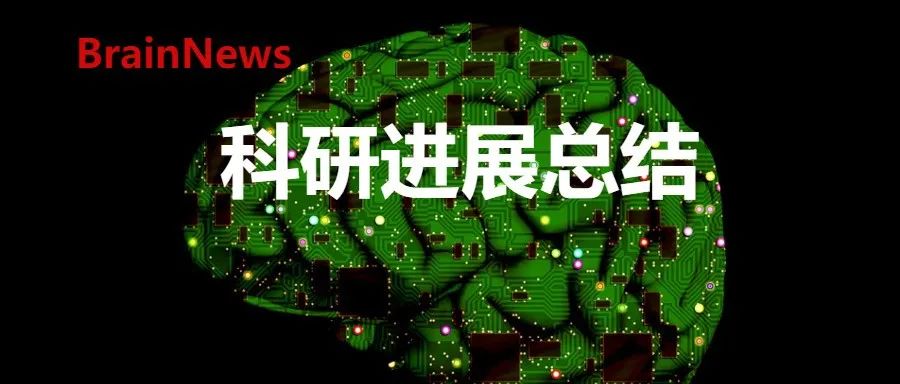 复旦类脑智能科学与技术研究院2024年度重要科研成果汇编