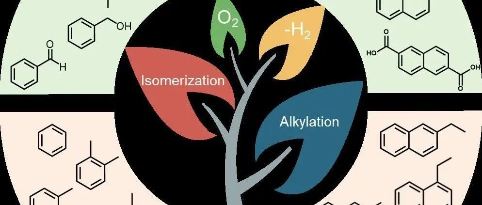 清华大学刘礼晨和石化院吴玉超：高附加值芳香烃选择性制备的新趋势