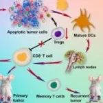 Biomaterials丨四川大学巩长旸/刘磊构建放射免疫调节纳米平台，触发强大的抗肿瘤远隔效应和免疫记忆