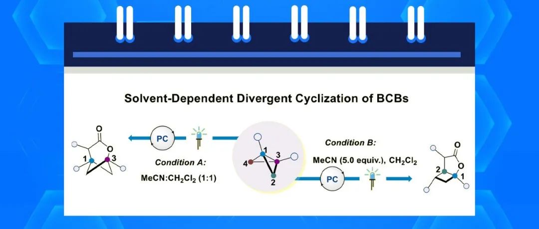 Frank Glorius课题组最新Angew：溶剂的改变，实现BCBs的发散性环化反应