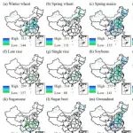 地理所史文娇研究团队在Nature旗下期刊《Scientific Data》发布1991-2019年中国高分辨率多作物用水数据集