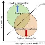 浙江科技大学林俊杰团队1区顶级期刊（IF=11.8）最新综述文章！可降解微塑料与生物炭共存对土壤有机质分解影响