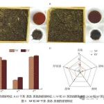 伞枝犁头霉纯菌与强化发酵普洱茶研究