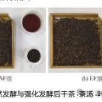 接种地衣芽孢杆菌发酵的普洱茶品质与微生物群落分析