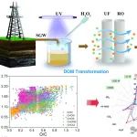 四川大学刘百仓团队SPT：溶解性有机物在紫外/H2O2-超滤-反渗透组合工艺处理页岩气废水中的分子转化机制