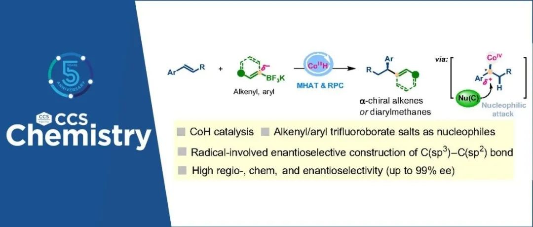 【CCS Chem.】东北师范大学张前/张鸽团队：钴氢-氢原子转移介导烯烃与烯基三氟硼酸盐的不对称氢烯基化反应