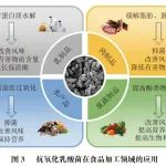 《食品科学》：昆明理工大学王艳菲讲师等：乳酸菌抗氧化机制研究进展及在食品领域的应用