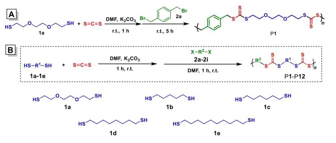 唐本忠院士、胡蓉蓉教授 JACS：多功能聚三硫碳酸酯简便合成领域取得新进展