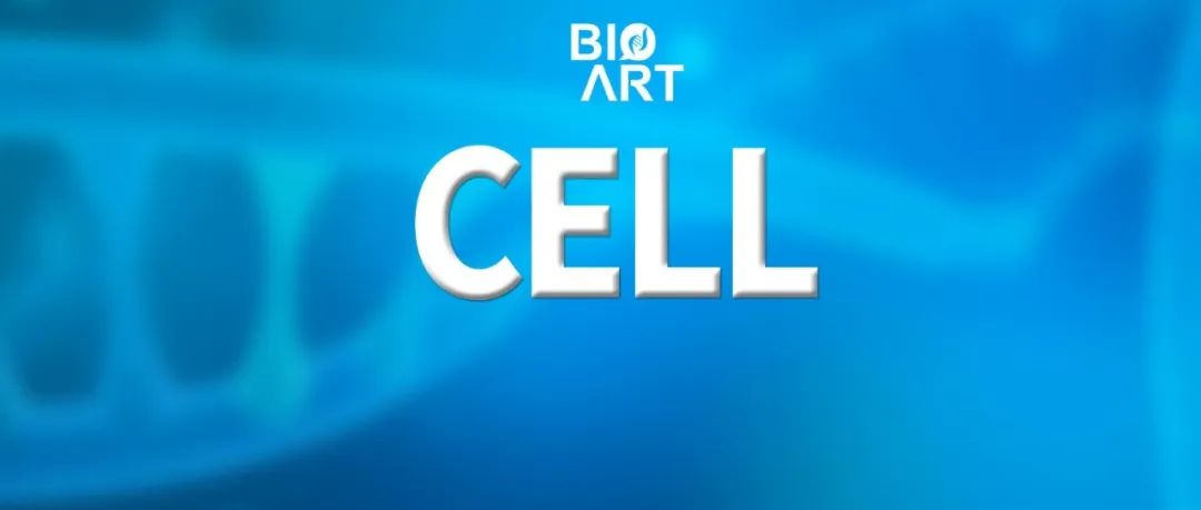 Cell | AI驱动的数字表型：通过可穿戴设备揭示精神障碍与遗传关联