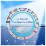 杭州师范大学刘俊秋团队：仿生跨膜离子通道的构筑、调控及应用