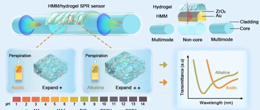 Nano Letters: 基于双曲超材料和智能水凝胶的光纤SPR传感器及其在汗液 pH 检测的应用