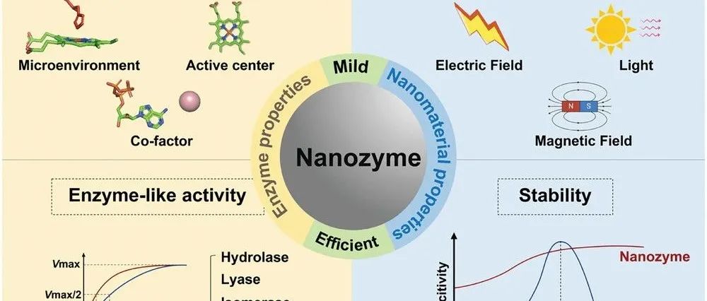 【Adv.Mater】纳米酶及其在生命起源中的潜在作用-阎锡蕴院士&范克龙研究院