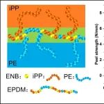 南科大陈忠仁教授团队 Polymer：原位接枝EPDM的多嵌段共聚物作为聚乙烯（PE）与等规聚丙烯（iPP）共混物的增容剂