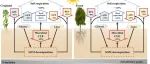 东北师范大学白娥教授课题组：植被恢复下温度对土壤微生物碳利用效率和激发效应的影响