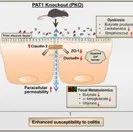 Gastroenterology & nature reviews endocrinology | 期刊学习