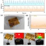 北京理工大学《ACS AMI》：基于rGO/MoS2的全柔性湿度传感器，用于可穿戴设备等