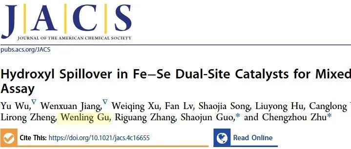 JACS | 利用双位点催化剂FeSe/NC中的羟基溢流现象构建混合塑料分析试剂盒