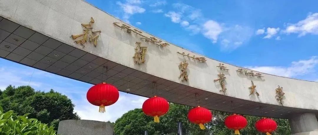 首次突破4亿元！祝贺！新疆农业大学