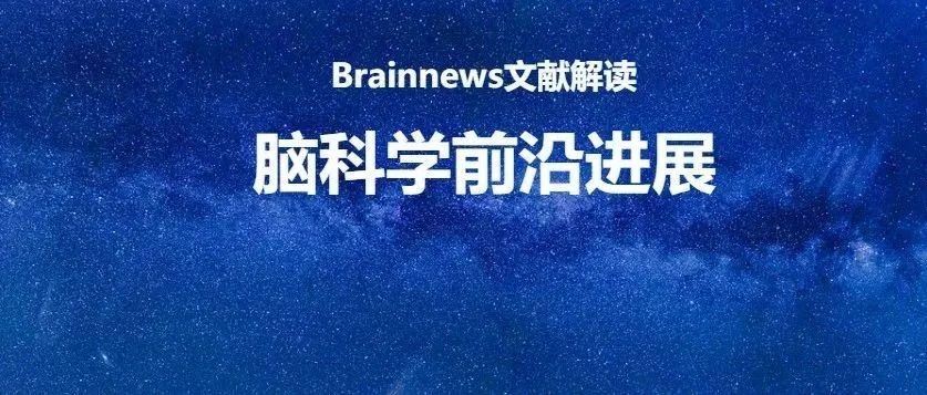 Nature/Neuron/Molecular Psychiatry：2024年罗敏敏课题组3篇高质量研究成果汇编