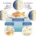 中国海洋大学郑浩团队JHM：环境相关浓度下手性杀菌剂三唑酮扰乱草金鱼昼夜节律行为的对映选择性机制