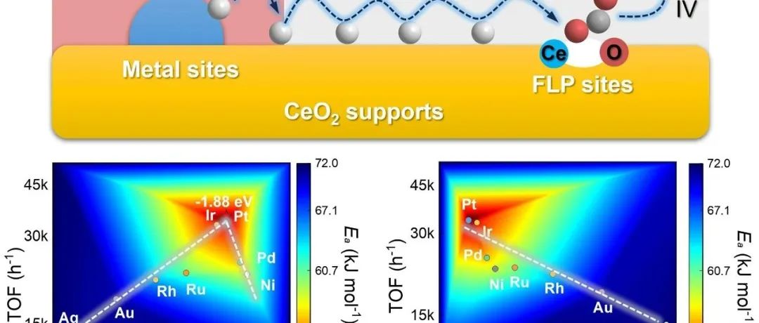 西北工业大学瞿永泉/张赛团队：Ead(H)描述单原子金属和FLPs双位点催化RWGS反应性能