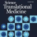 舒缓免疫反应抗体可促进大型动物对移植肾脏的接受｜Science Translational Medicine