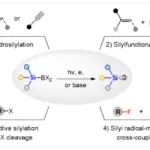 石河子大学杨盛超团队：硅硼化物作为硅基自由基前体的合成研究进展及展望