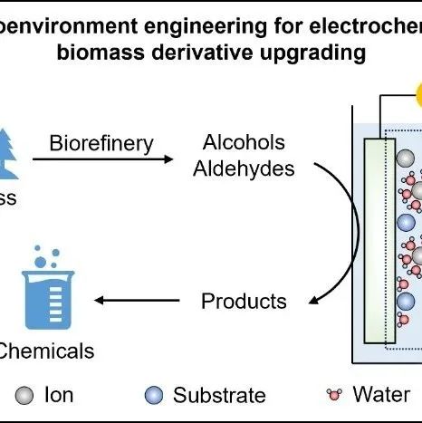 清华大学段昊泓/山东科技大学葛瑞翔团队: 微环境工程用于电催化生物质升级研究进展