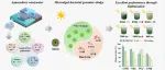 Chemical Engineering Journal｜贾妍艳团队在菌藻颗粒污泥系统处理水产养殖废水研究上取得进展