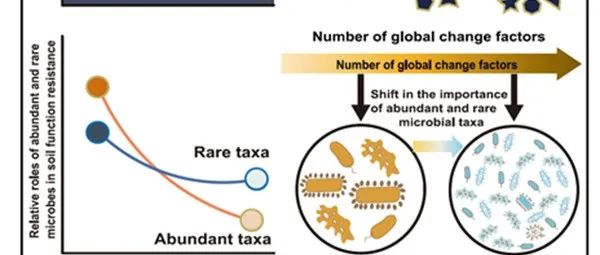 Current Biology | 西北农林科技大学陈文青教授课题组在全球变化研究中取得重要进展