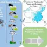 东华大学舒诗湖团队、中科院地理所孙思奥团队合作：中国城市污水处理磷回收现状、未来潜力及可持续发展路线图