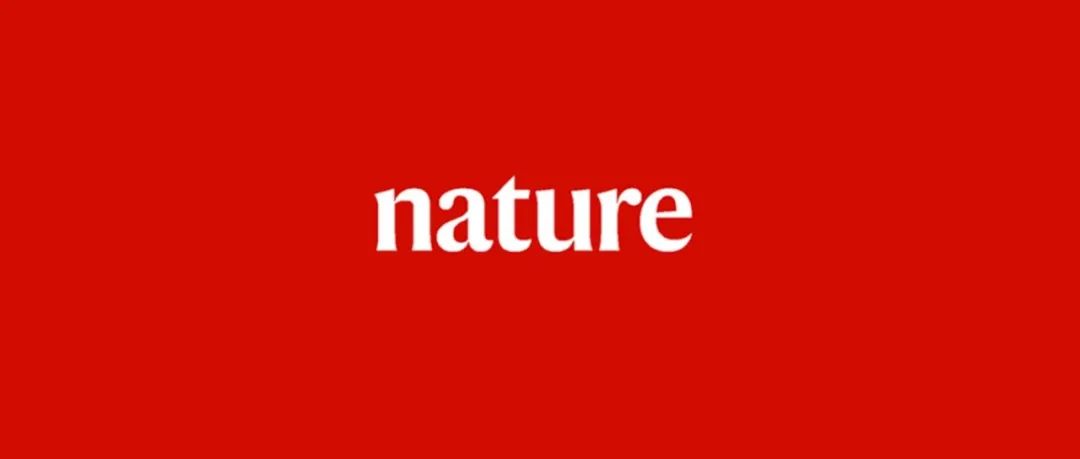 首都医科大学「国家杰青」团队，最新Nature大子刊！