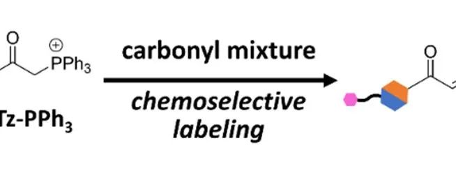 J. Am. Chem. Soc. | 稳定的羰基磷叶立德探针用于捕获活性羰基化合物及原位产生丙烯酰胺弹头