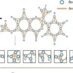 研究前沿：北京大学深圳研究生院电子圆二色谱ECDFormer机器学习| Nature Computational Science