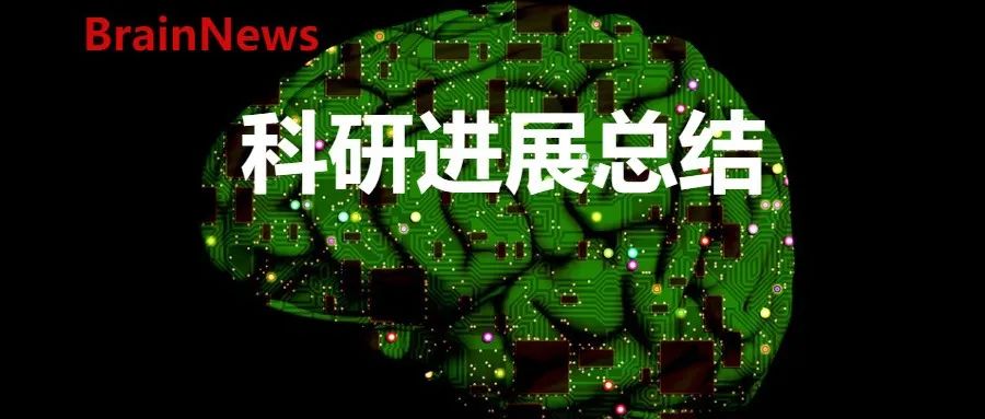 北京大学IDG麦戈文脑科学研究所2024年度工作回顾