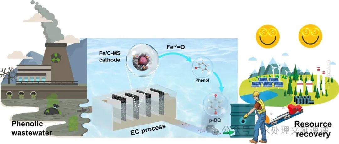 文献速递|同济大学WR:阴极介导的废水中苯酚到苯醌的电化学转化： 高产率和低能耗