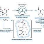 J. Am. Chem. Soc.：笼内重组促进烯丙基铵叶立德的对映选择性有机催化 [1,2]- 重排反应