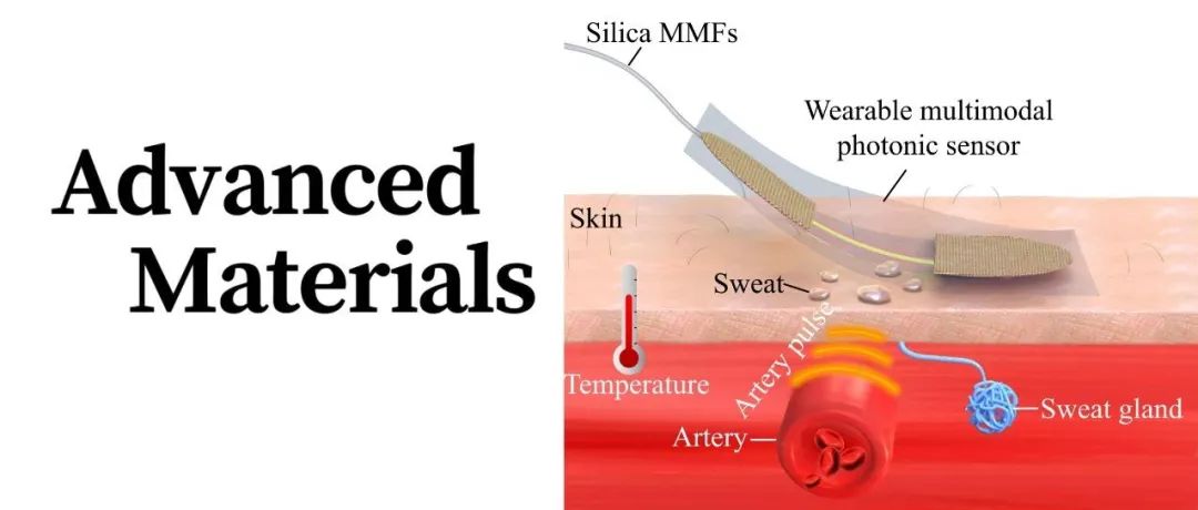 Adv. Mater. | 可拉伸多模态光子皮肤传感器