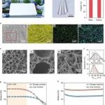南京大学张晔课题组Adv.Mater.：新型凝胶材料：金属凝胶