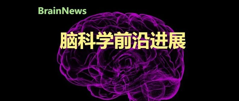 2024年清华-IDG/麦戈文脑科学研究院代表性科研成果汇编