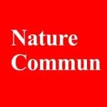 华工「国家高层次人才」联手「国家杰青」，新发Nature子刊！